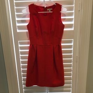Sophisticated J Crew Dress